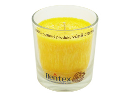 Palmové svičky Rentex
